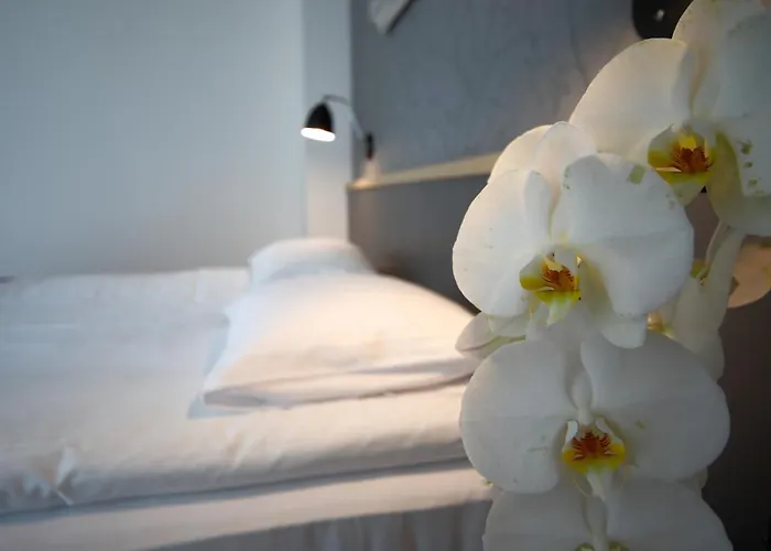 Osrodek Turystyczny Rezort